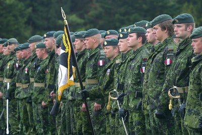 Danish M84 Pletsløring (Flecktarn)